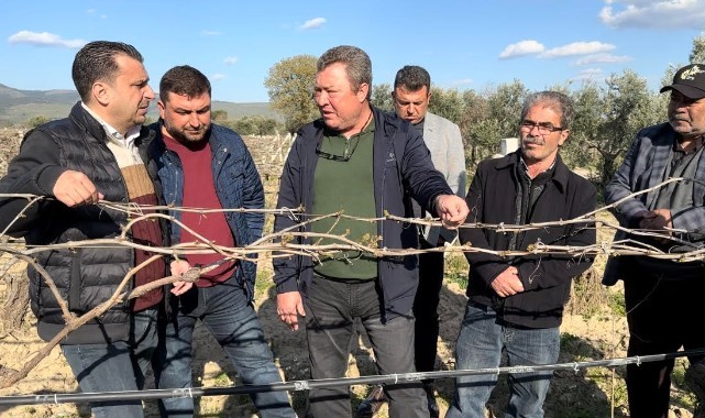 Bağlarını don vuran üzüm üreticileri: 'Manisa Afet Bölgesi İlan Edilsin’