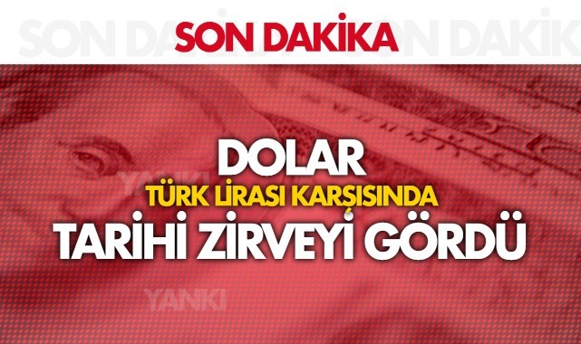 Dolar TLde tarihi seviye