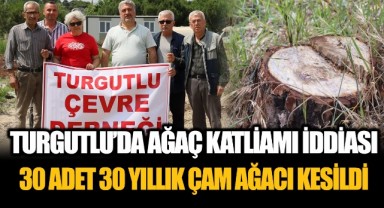 Turgutluda ağaç katliamı iddiası: 30 adet 30 yıllık çam ağacı kesildi!
