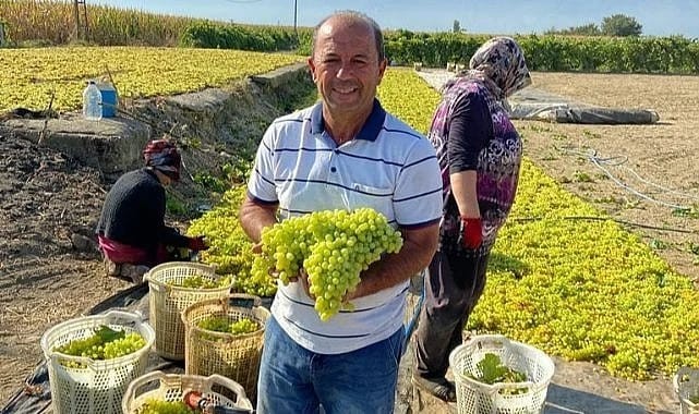CHP’li Gürtunca: 'Üzüm üreticilerini bir de TMO vurmasın’