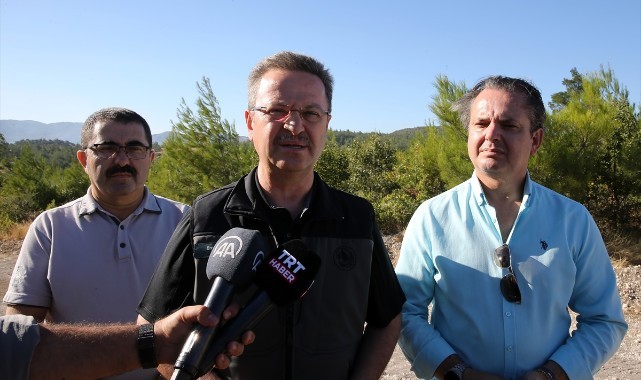 Somadaki orman yangını kısmen kontrol altında