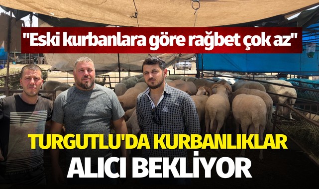 Turgutluda kurbanlıklar alıcı bekliyor