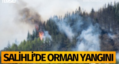Salihlide orman yangını