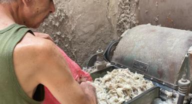 Toz bulutlarının arasında: Turgutlu’nun son hallacı