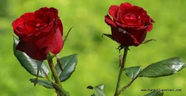 Yitük ve Eşit ailelerin acı günü