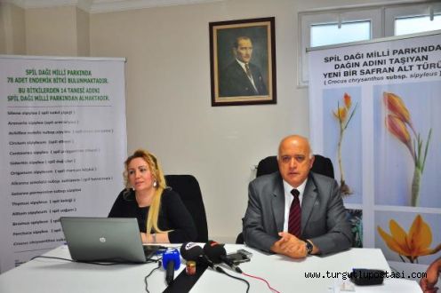 Spil,in 14üncü Endemik türü Safran oldu