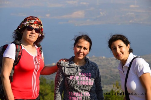 Turdak, Yenifoça’dan Kozbeyli’ye Çilekli Yolda.